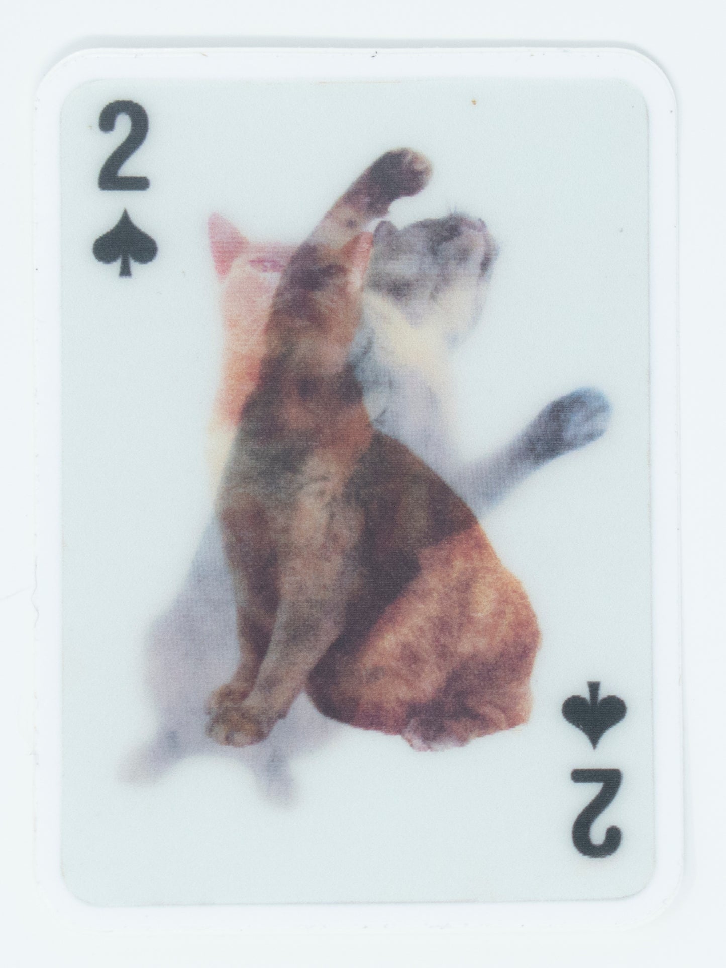 Playing Card Stickers