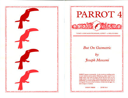 PARROT 4 But On Geometric